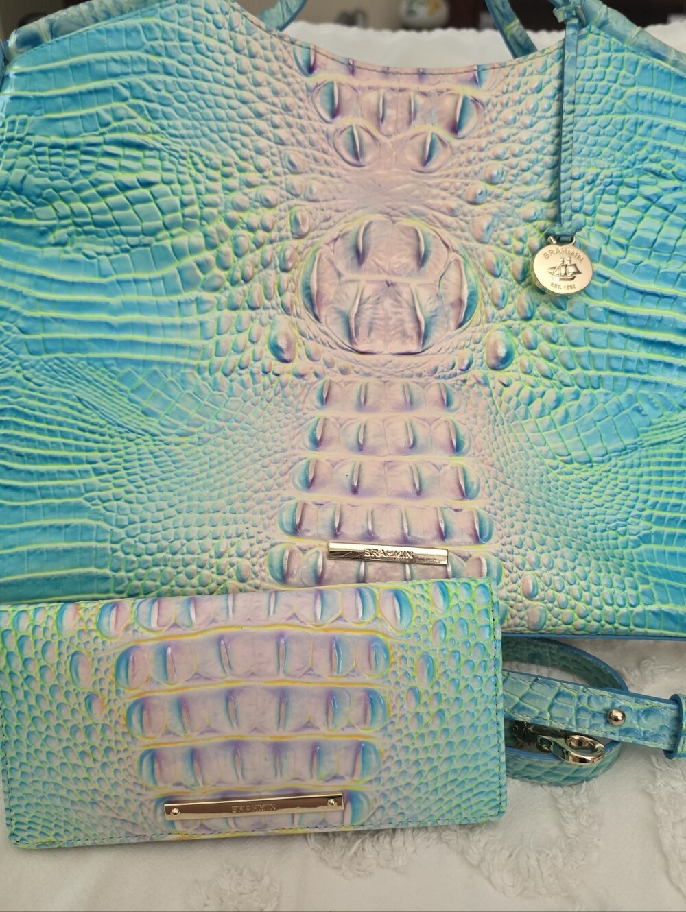 Brahmin Handbag And Wallet Cotton Candy Color